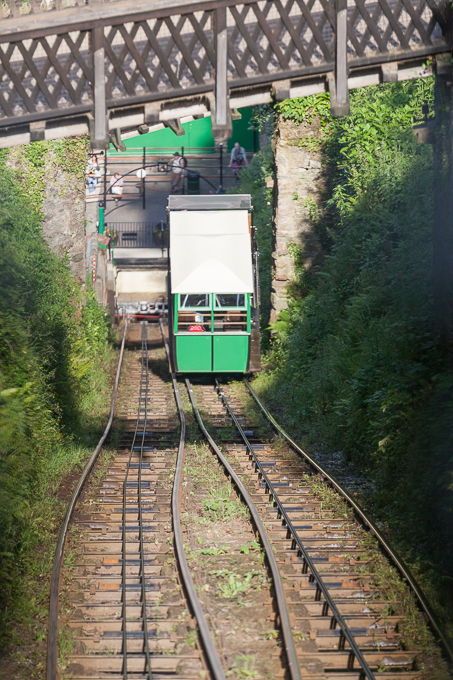 Lynton 2014 (02)